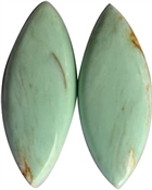 BBVE017