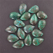 CHRYSOCOLL021