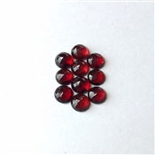 GARNEROSE003