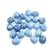 OPBL013