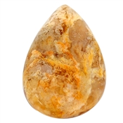 PLAG008