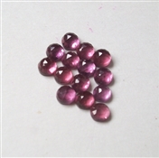 RHODOROSE00002
