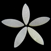 SIDR0019
