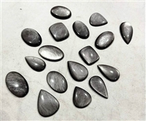 SILVSHEENOBSI026
